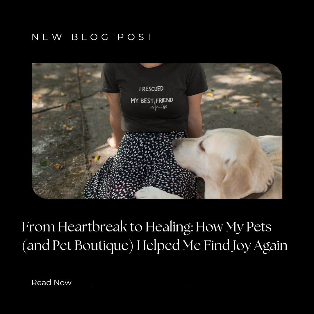 From Heartbreak to Healing: How My Pets (and Pet Boutique) Helped Me Find Joy Again