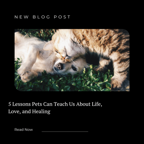 5 Lessons Pets Can Teach Us About Life, Love, and Healing