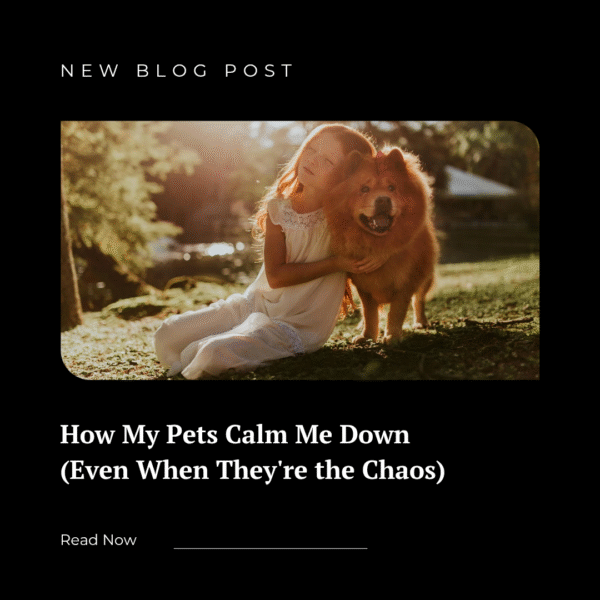How My Pets Calm Me Down (Even When They’re the Chaos)