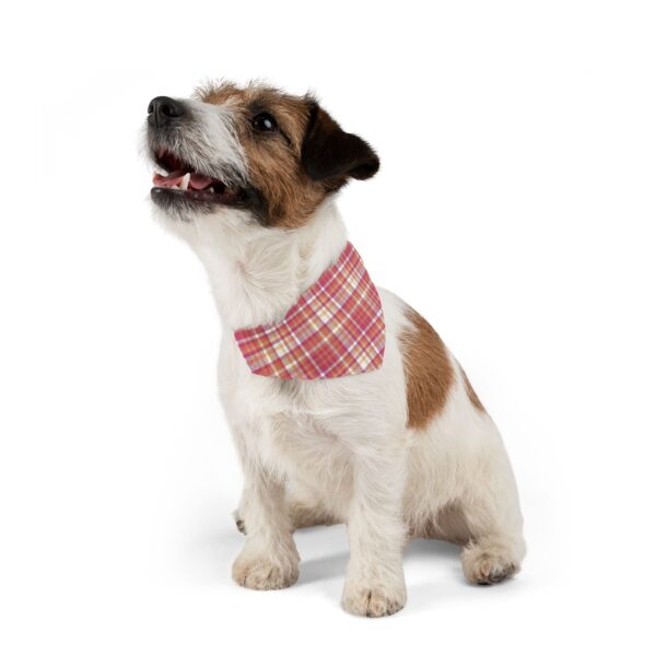 Cute Spooky Halloween Plaid Pattern Pet Bandana - Image 2