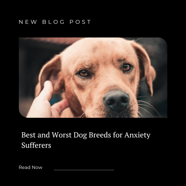 Best and Worst Dog Breeds for Anxiety Sufferers