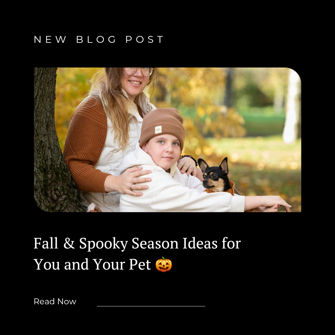 Fall & Spooky Season Ideas for You and Your Pet 🎃