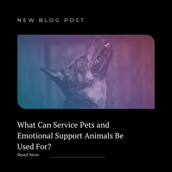 What Can Service Pets and Emotional Support Animals Be Used For?