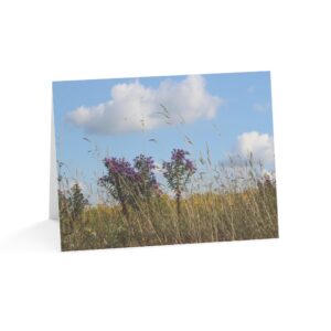 Greeting Cards (1, 10, 30, and 50pcs)