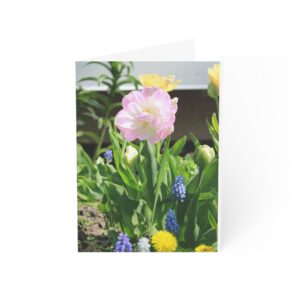 Greeting Cards (1, 10, 30, and 50pcs)