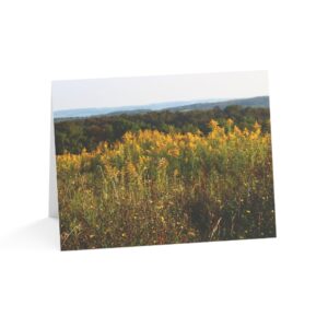 Greeting Cards (1, 10, 30, and 50pcs)