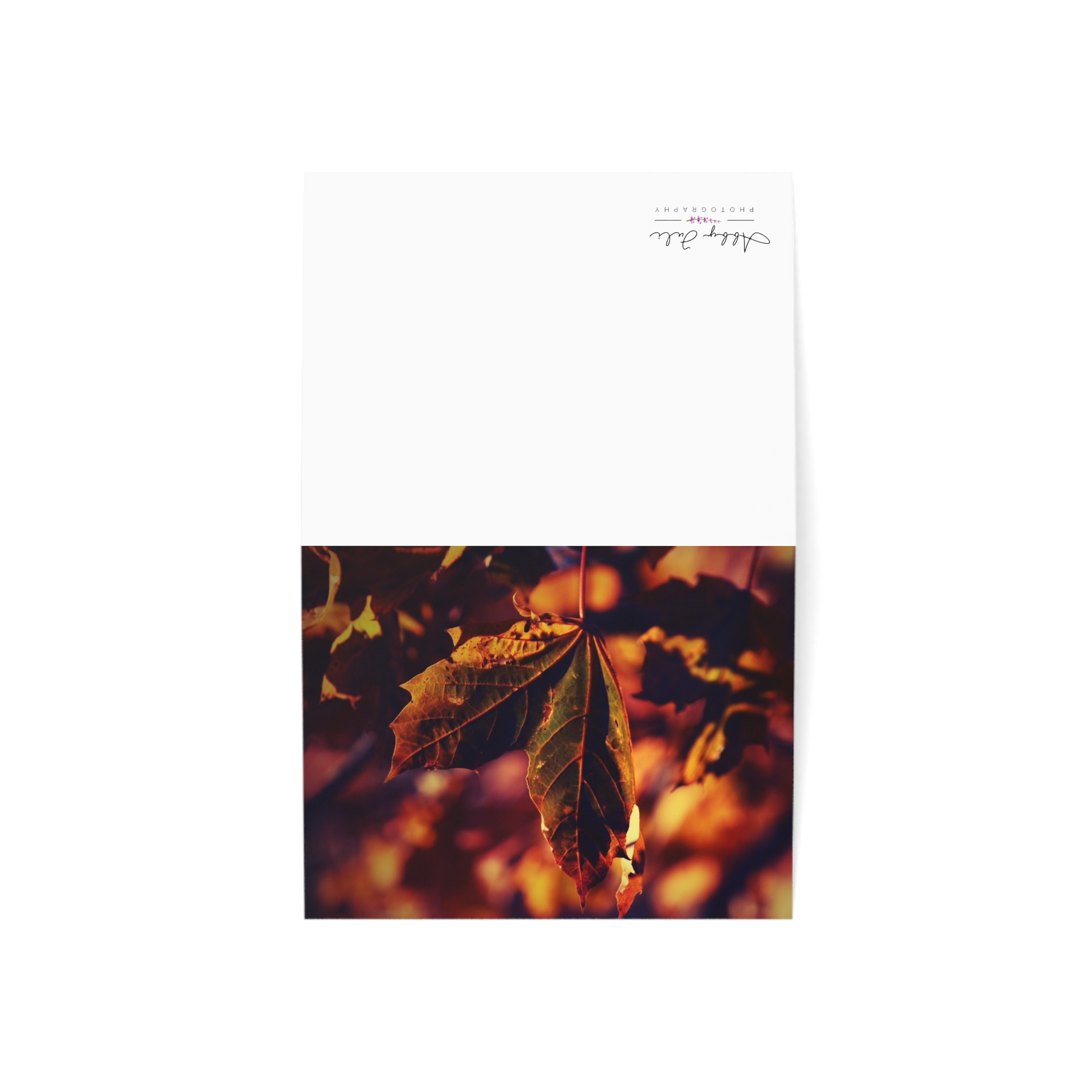 Autumn Leaf at Golden Hour Greeting Cards (1, 10, 30, and 50pcs) - Image 11