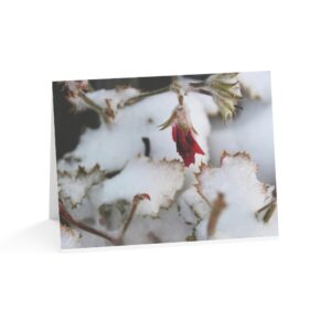 Winters First Kiss Greeting Cards (1, 10, 30, and 50pcs)