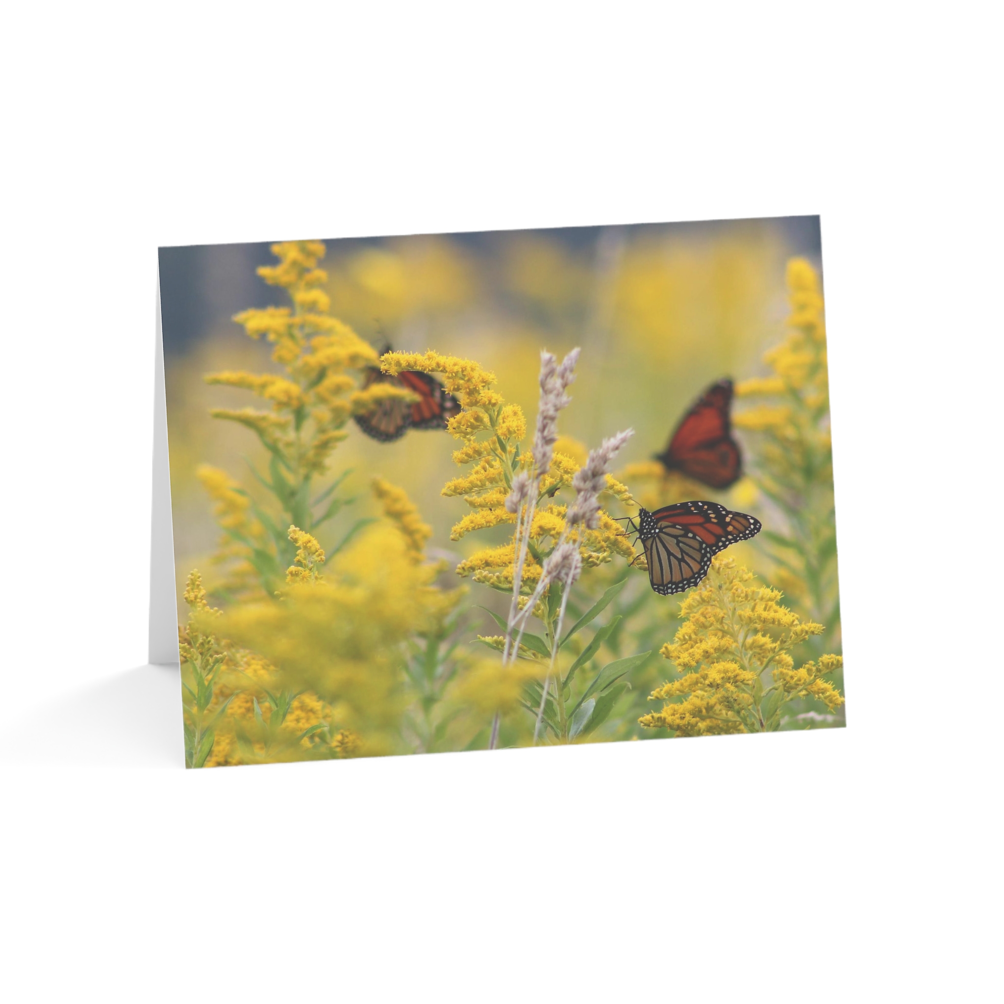 Greeting Cards (1, 10, 30, and 50pcs) - Image 57