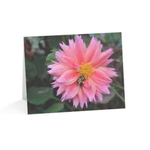 Greeting Cards (1, 10, 30, and 50pcs)