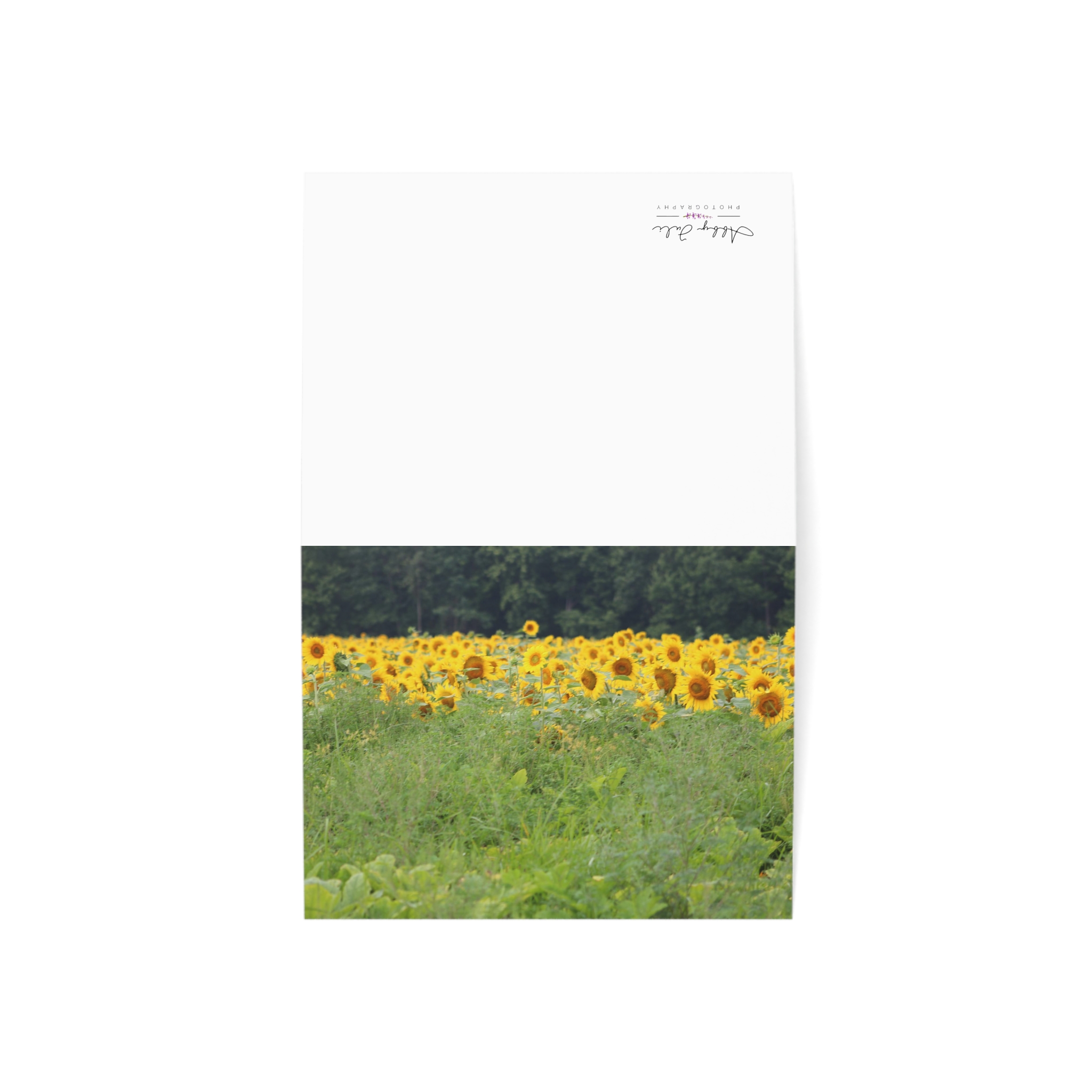 Sunflower Field Greeting Cards (1, 10, 30, and 50pcs) - Image 3