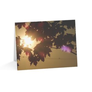 Fall Leaves At Sunset Greeting Cards (1, 10, 30, and 50pcs)