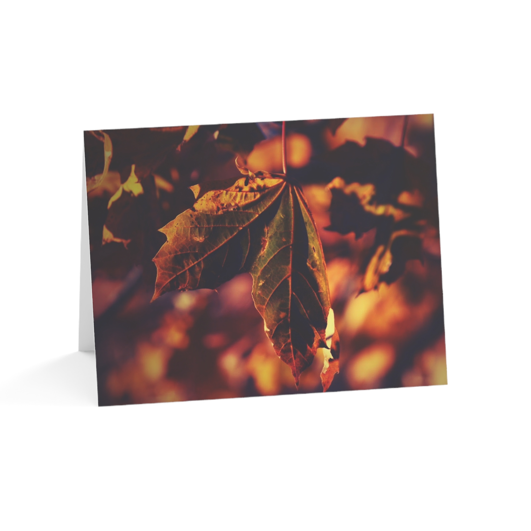 Autumn Leaf at Golden Hour Greeting Cards (1, 10, 30, and 50pcs) - Image 13